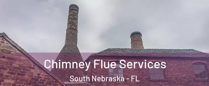 Chimney Flue Services South Nebraska - FL