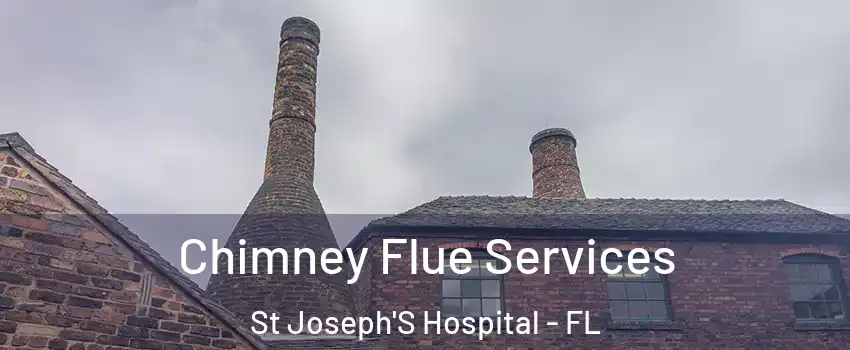 Chimney Flue Services St Joseph'S Hospital - FL