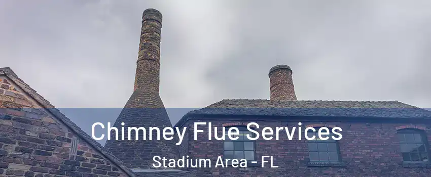 Chimney Flue Services Stadium Area - FL