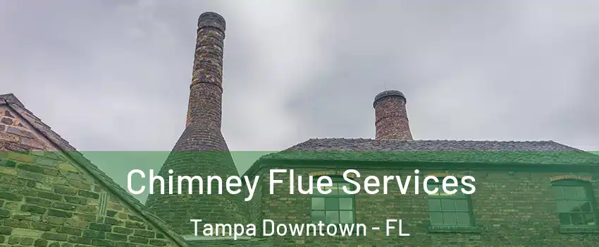 Chimney Flue Services Tampa Downtown - FL