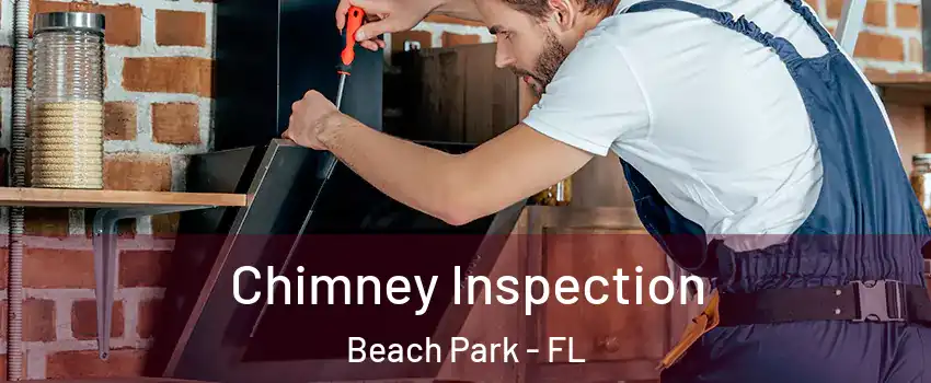 Chimney Inspection Beach Park - FL