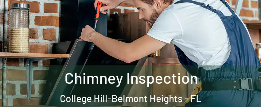 Chimney Inspection College Hill-Belmont Heights - FL