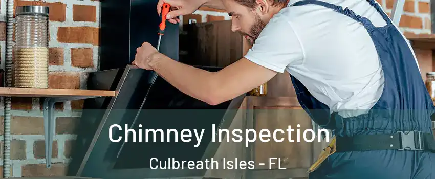 Chimney Inspection Culbreath Isles - FL