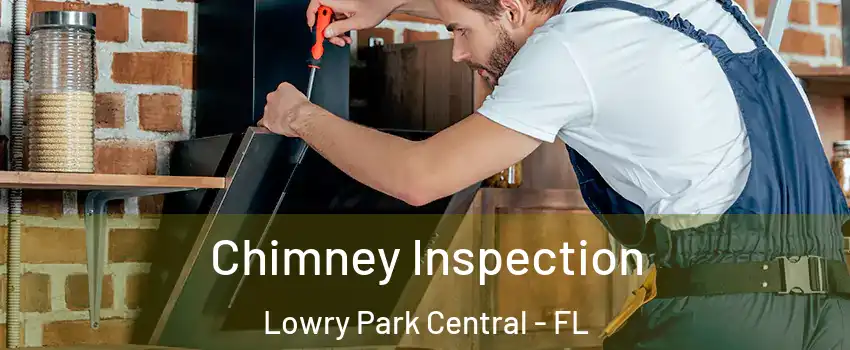 Chimney Inspection Lowry Park Central - FL