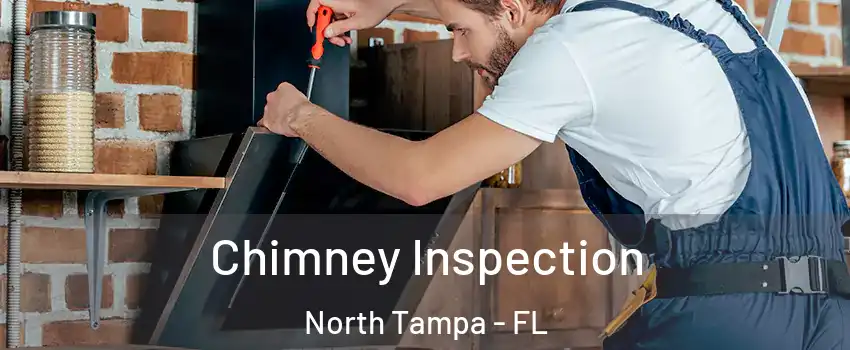 Chimney Inspection North Tampa - FL