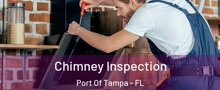 Chimney Inspection Port Of Tampa - FL