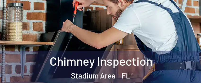 Chimney Inspection Stadium Area - FL