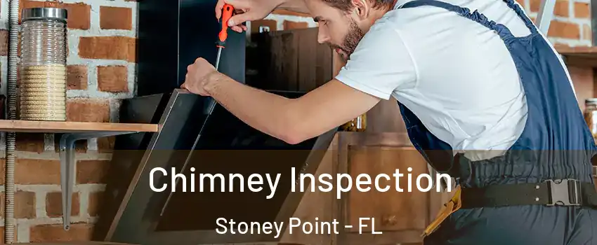 Chimney Inspection Stoney Point - FL