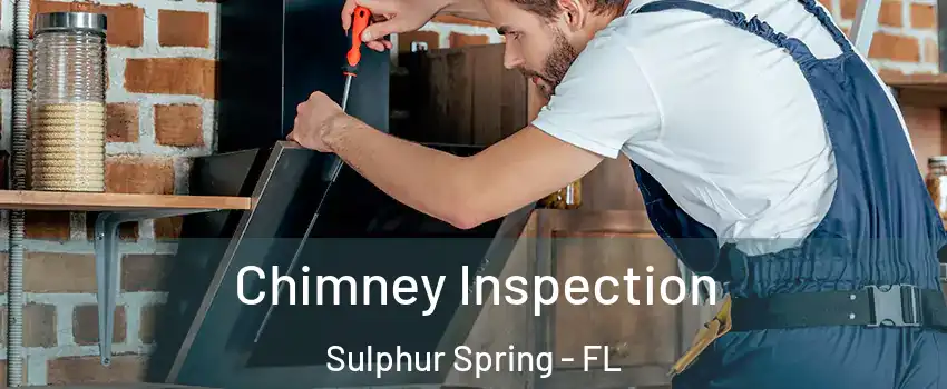 Chimney Inspection Sulphur Spring - FL