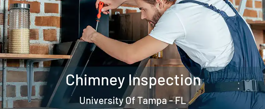 Chimney Inspection University Of Tampa - FL