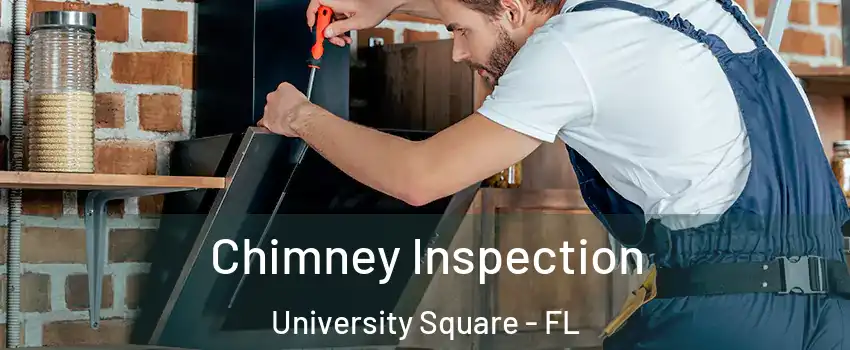 Chimney Inspection University Square - FL