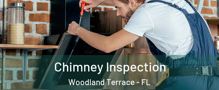 Chimney Inspection Woodland Terrace - FL