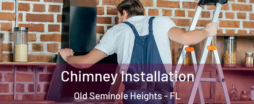 Chimney Installation Old Seminole Heights - FL