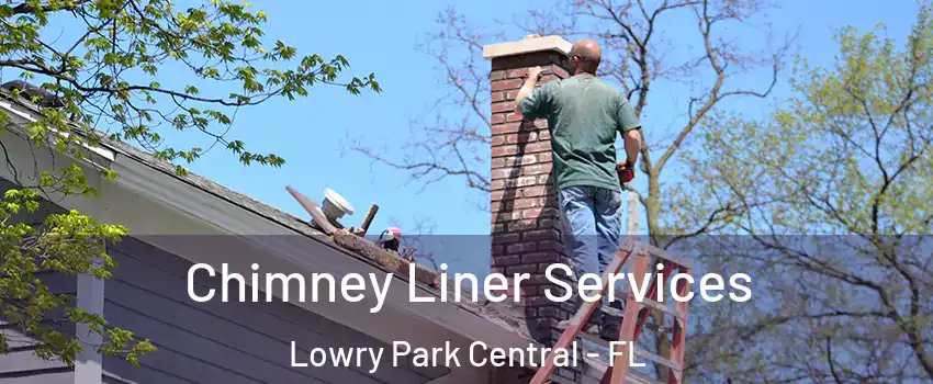 Chimney Liner Services Lowry Park Central - FL