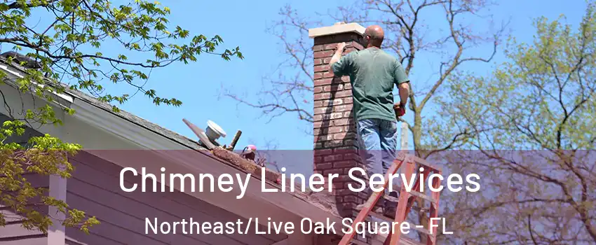 Chimney Liner Services Northeast/Live Oak Square - FL