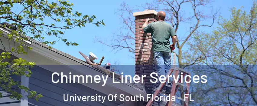 Chimney Liner Services University Of South Florida - FL