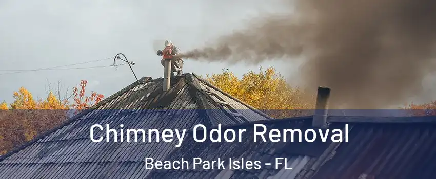 Chimney Odor Removal Beach Park Isles - FL