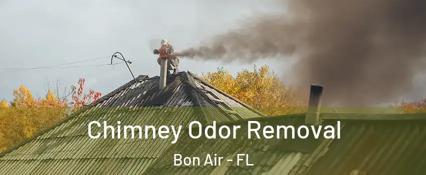 Chimney Odor Removal Bon Air - FL