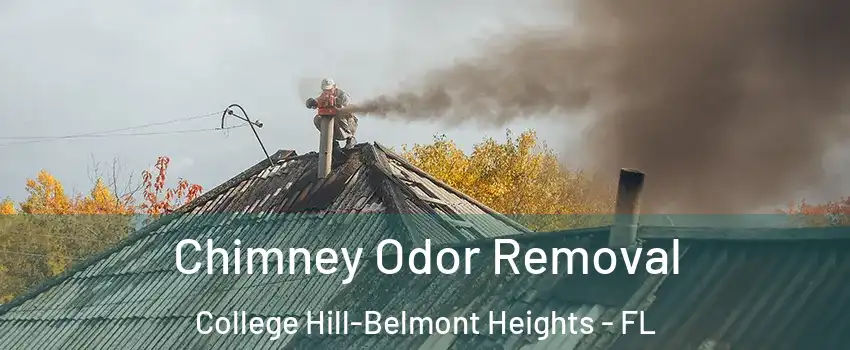 Chimney Odor Removal College Hill-Belmont Heights - FL