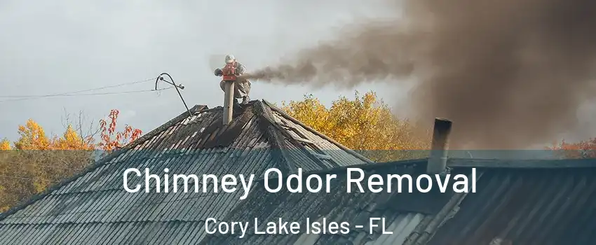 Chimney Odor Removal Cory Lake Isles - FL