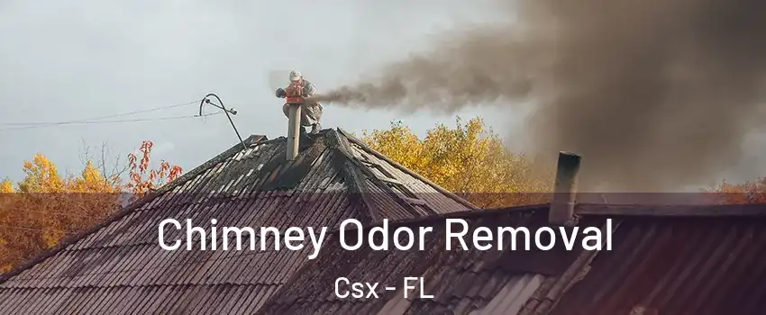 Chimney Odor Removal Csx - FL