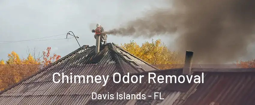 Chimney Odor Removal Davis Islands - FL