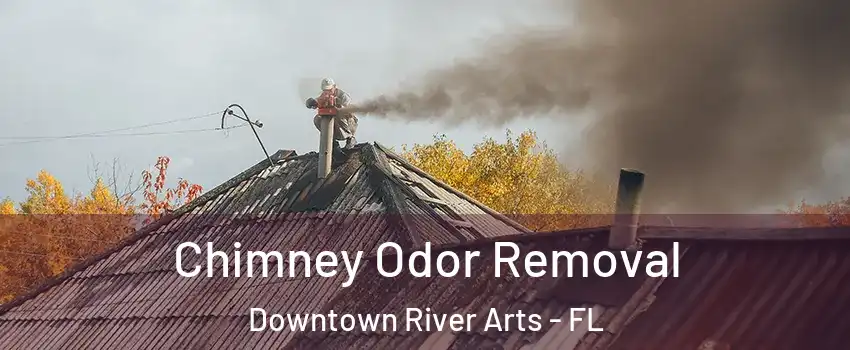 Chimney Odor Removal Downtown River Arts - FL