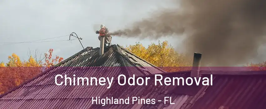 Chimney Odor Removal Highland Pines - FL