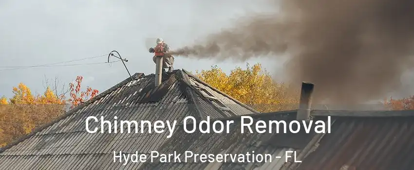 Chimney Odor Removal Hyde Park Preservation - FL