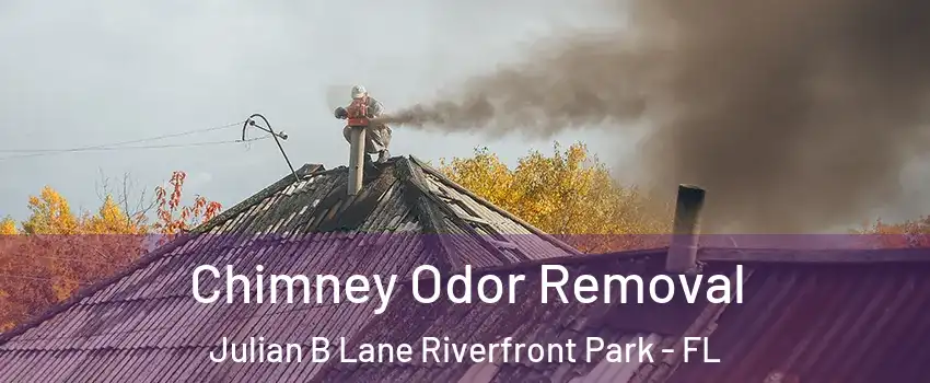 Chimney Odor Removal Julian B Lane Riverfront Park - FL