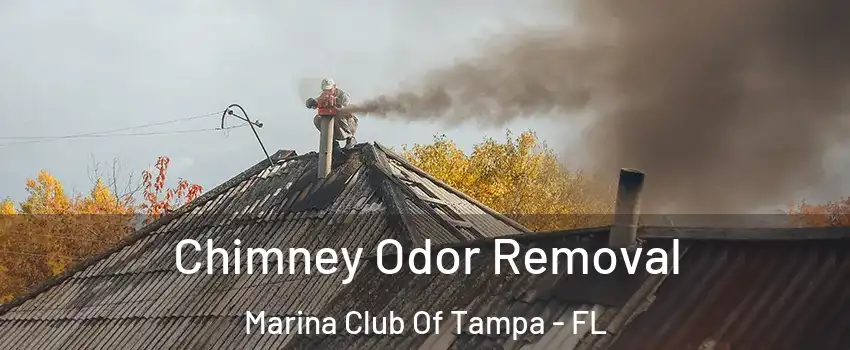 Chimney Odor Removal Marina Club Of Tampa - FL