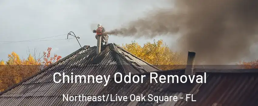 Chimney Odor Removal Northeast/Live Oak Square - FL