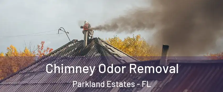 Chimney Odor Removal Parkland Estates - FL