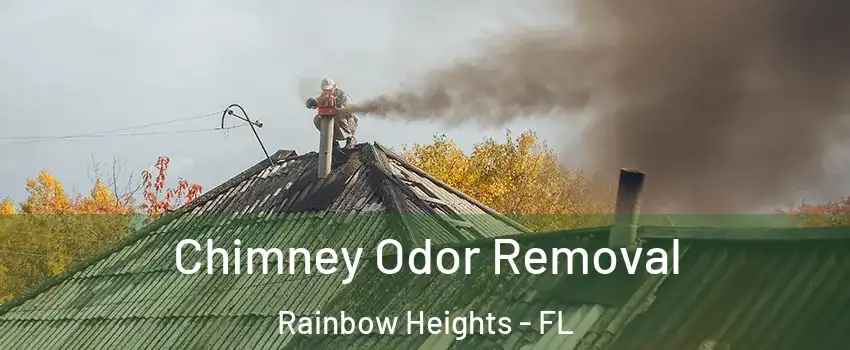 Chimney Odor Removal Rainbow Heights - FL