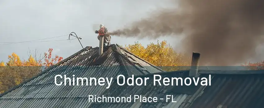 Chimney Odor Removal Richmond Place - FL