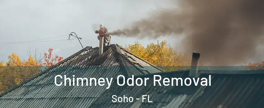 Chimney Odor Removal Soho - FL