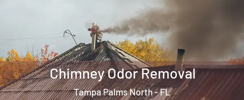 Chimney Odor Removal Tampa Palms North - FL