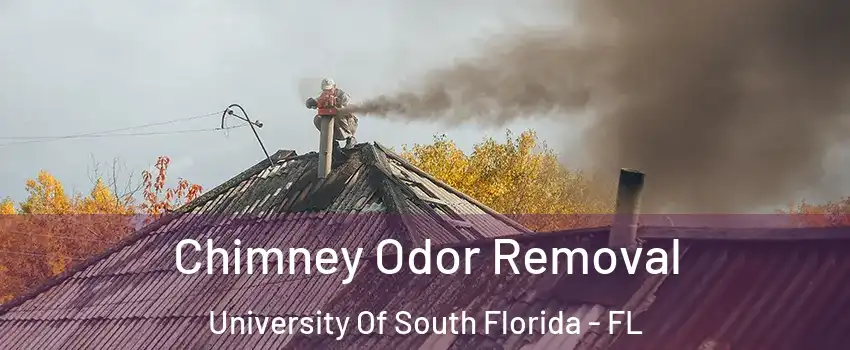 Chimney Odor Removal University Of South Florida - FL