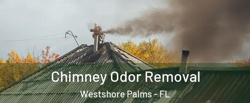 Chimney Odor Removal Westshore Palms - FL