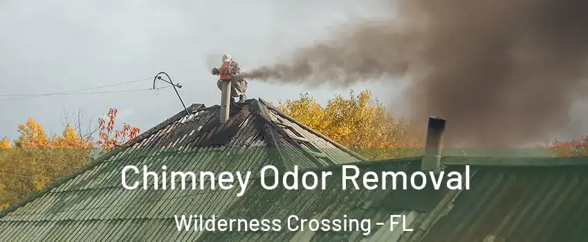 Chimney Odor Removal Wilderness Crossing - FL