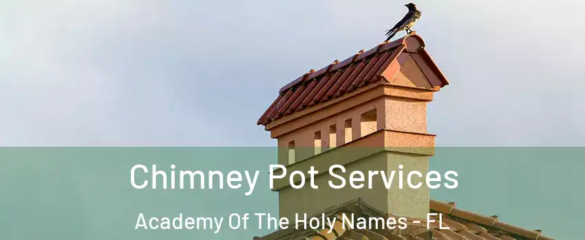 Chimney Pot Services Academy Of The Holy Names - FL