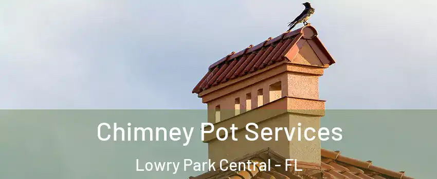 Chimney Pot Services Lowry Park Central - FL