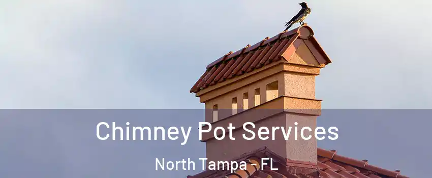 Chimney Pot Services North Tampa - FL