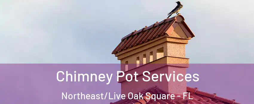 Chimney Pot Services Northeast/Live Oak Square - FL