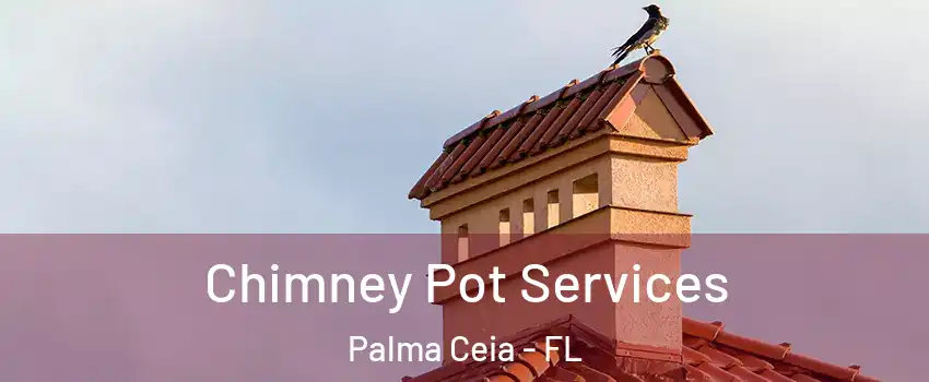 Chimney Pot Services Palma Ceia - FL