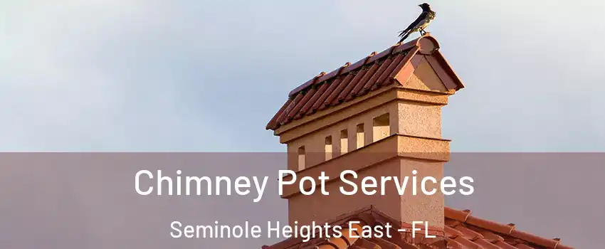 Chimney Pot Services Seminole Heights East - FL