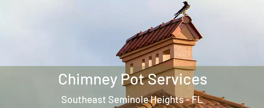 Chimney Pot Services Southeast Seminole Heights - FL