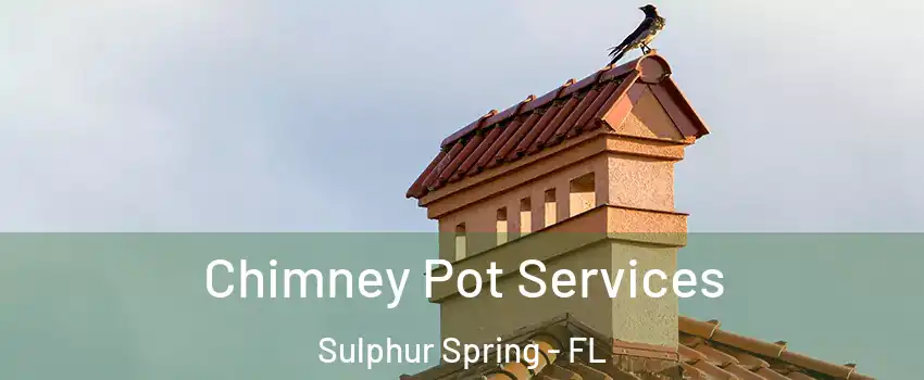 Chimney Pot Services Sulphur Spring - FL