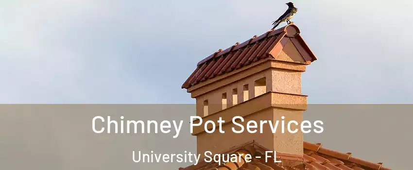 Chimney Pot Services University Square - FL