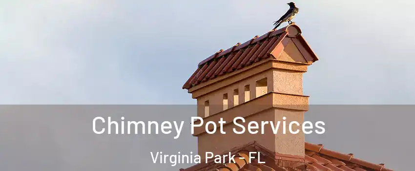 Chimney Pot Services Virginia Park - FL